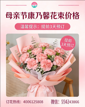 石家庄井陉矿区花店母亲节康乃馨花束