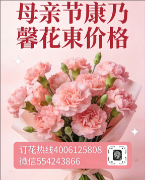 石家庄井陉矿区花店母亲节康乃馨花束